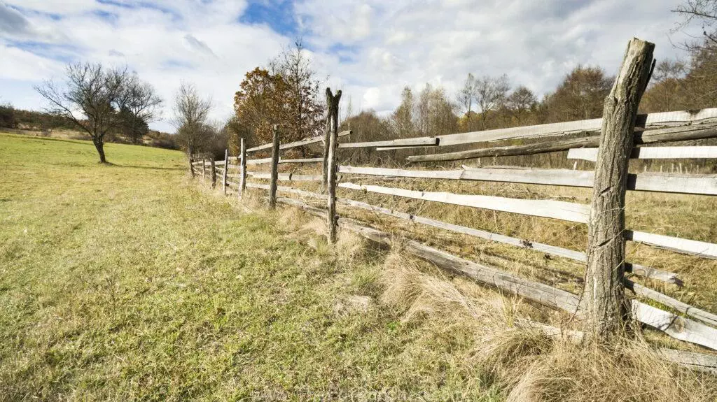 Ranch fence along pasture